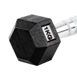 Halter Dumbbell 1kg Gallant Sextavado Emborrachado Pegada Cromada 